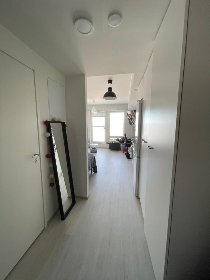 Arctic Penthouse Studio With Free Parking And High-Speed Wi-Fi Ροβανιέμι Εξωτερικό φωτογραφία