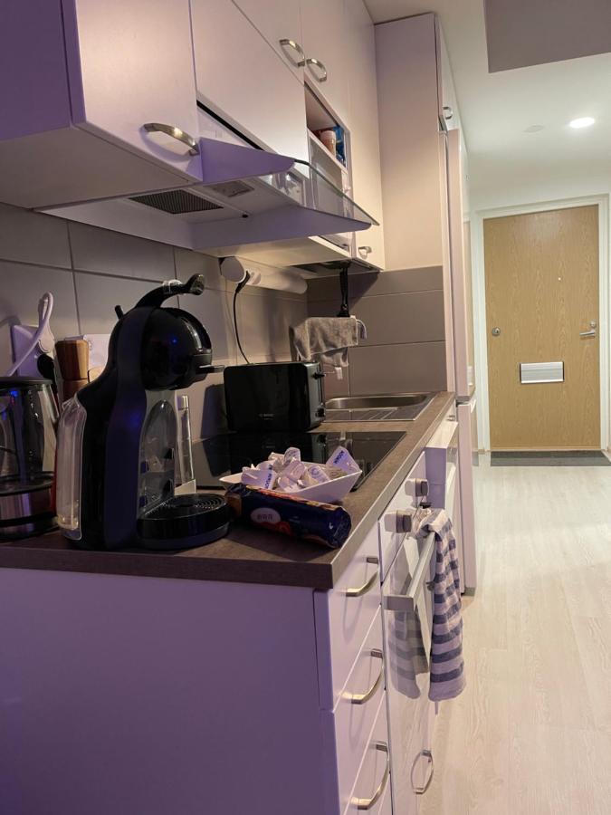 Arctic Penthouse Studio With Free Parking And High-Speed Wi-Fi Ροβανιέμι Εξωτερικό φωτογραφία